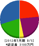 齋藤工務店 貸借対照表 2012年5月期