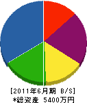 錦幸緑化建設 貸借対照表 2011年6月期