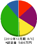 藤崎組 貸借対照表 2012年12月期