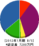 芳賀建設 貸借対照表 2012年1月期