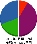 武田花光園 貸借対照表 2010年3月期