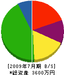 堀田建設 貸借対照表 2009年7月期