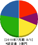 三笠工業 貸借対照表 2010年7月期