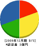 斎藤工務店 貸借対照表 2009年12月期