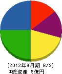 大川技研 貸借対照表 2012年9月期