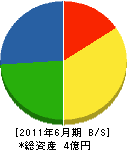 瀧工務店 貸借対照表 2011年6月期
