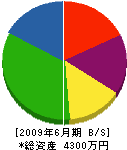菅原工業所 貸借対照表 2009年6月期