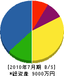 田中造園 貸借対照表 2010年7月期