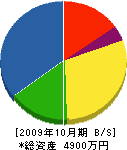 井村造園土木 貸借対照表 2009年10月期