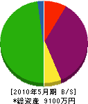 日昇電設 貸借対照表 2010年5月期