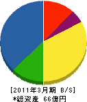 日本ピーマック 貸借対照表 2011年3月期