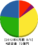 岡田建設 貸借対照表 2012年6月期