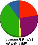 横浜ビルボード 貸借対照表 2009年9月期