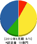武田建設 貸借対照表 2012年6月期