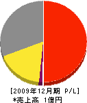 日本環境メンテナス 損益計算書 2009年12月期