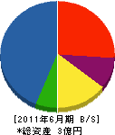 美祢開発工務店 貸借対照表 2011年6月期