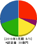石田商事 貸借対照表 2010年3月期