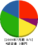 井口タタミフスマ店 貸借対照表 2009年7月期