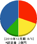 赤川索道 貸借対照表 2010年12月期