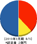 日本アクディック 貸借対照表 2013年3月期