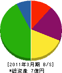 木曽川環境クリーン 貸借対照表 2011年3月期