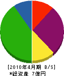 ナカヤマ 貸借対照表 2010年4月期