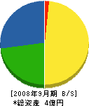 ニチエー吉田 貸借対照表 2008年9月期