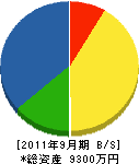 岩佐土建 貸借対照表 2011年9月期