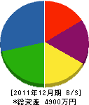 藤垣電気商会 貸借対照表 2011年12月期