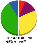 沢目左官工業所 貸借対照表 2011年5月期
