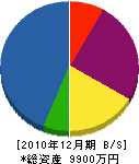 柿崎土建 貸借対照表 2010年12月期