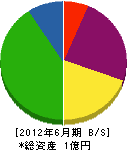 菅建設 貸借対照表 2012年6月期