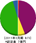 前田住設 貸借対照表 2011年3月期