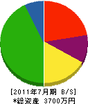 堀田建設 貸借対照表 2011年7月期