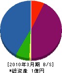 ケンザイセンター生田 貸借対照表 2010年3月期
