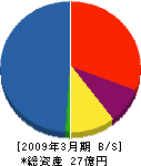 テクノジャパン 貸借対照表 2009年3月期