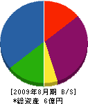 安斎鉄工所 貸借対照表 2009年8月期
