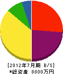 須藤建設 貸借対照表 2012年7月期