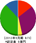 松山環境サービス 貸借対照表 2012年9月期