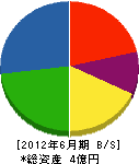 佐藤建設 貸借対照表 2012年6月期