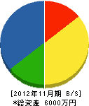 南大阪道路工事 貸借対照表 2012年11月期