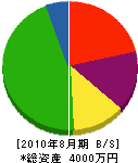 福友電通 貸借対照表 2010年8月期