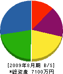 亀山商事 貸借対照表 2009年8月期