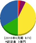 澤村組 貸借対照表 2010年6月期