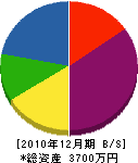 千葉工務 貸借対照表 2010年12月期