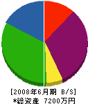 大松 貸借対照表 2008年6月期