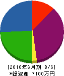 畑山電気工業所 貸借対照表 2010年6月期