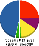 稗田緑化 貸借対照表 2013年1月期