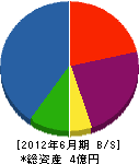 谷川工業 貸借対照表 2012年6月期