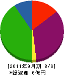 松山環境サービス 貸借対照表 2011年9月期